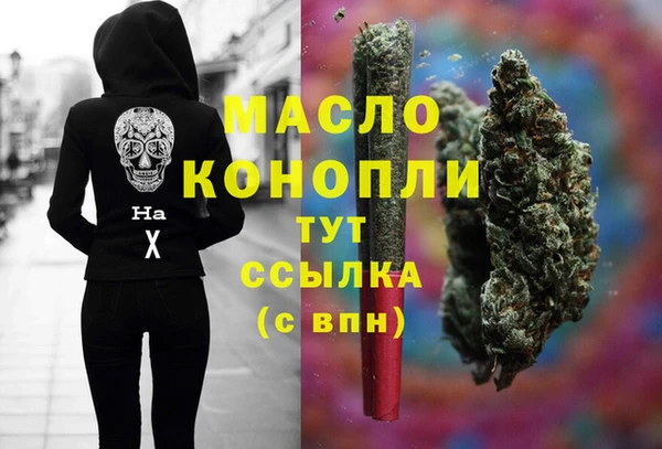 гидра Арсеньев